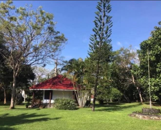 Subodinee Bungalow Велигама Экстерьер фото